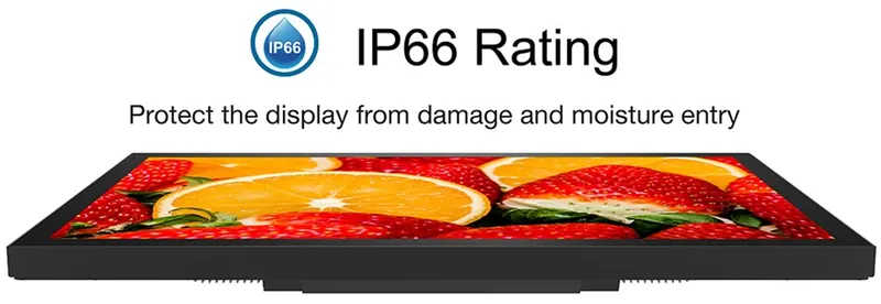 ip66.webp