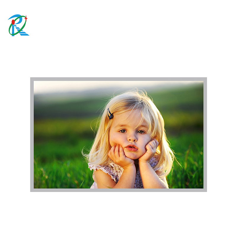 10.1 inch outdoor LCD display manufacturers