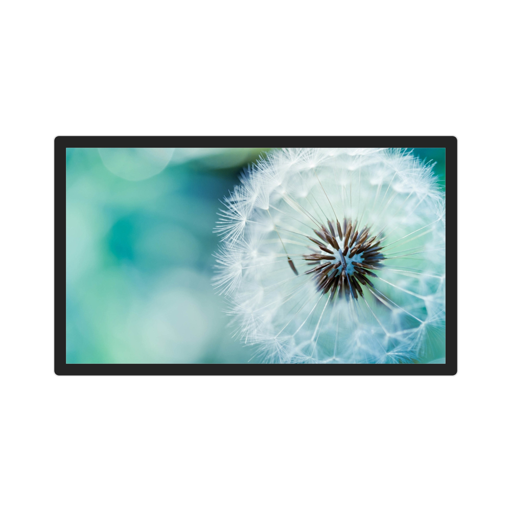 24.5" AUO M250HAN01.8 TFT LCD Panel Module