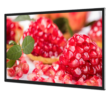 55” 4K UHD Window Digital Signage Display high brightness