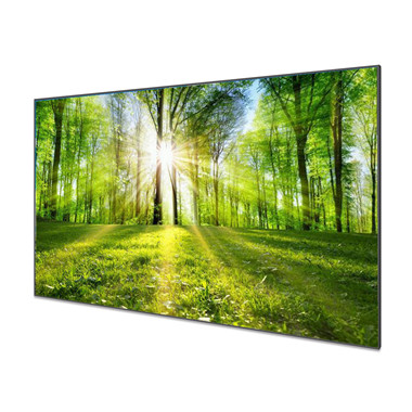 65 inch Larger size outside LCD monitor DV650QUM-N00 
