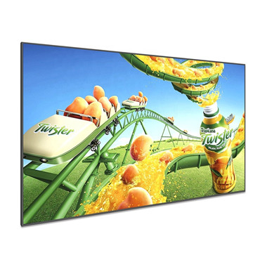 65 inch Larger size outside LCD monitor DV650QUM-N00 