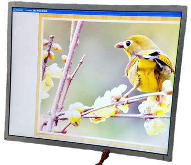17 inch 1000nits sunlight readable LG LCD Panel