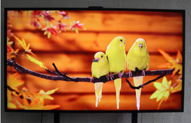 2000 nits high Brightness 49inch window facing display for US