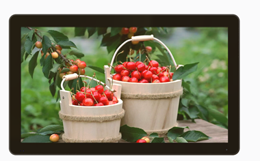 32 inch open frame high tni sunlight readable tft LCD