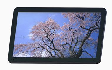 23.6 inch high brightness 1500 nits open frame TFT LCD