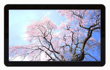 23.6 inch high brightness 1500 nits open frame TFT LCD