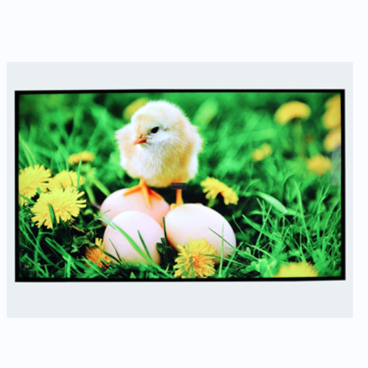 55 inch 4000 nits high brightness TFT LCD display