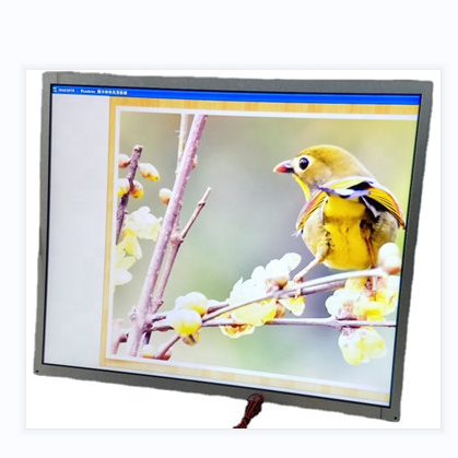 17 inch 1000nits sunlight readable LG LCD Panel