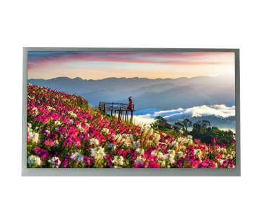 13.3 inch industrial high brightness TFT LCD panel 
