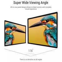 How does an IPS monitor work?