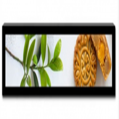 P366IVN01.1 Hi-Tni stretched high brightness LCD bar