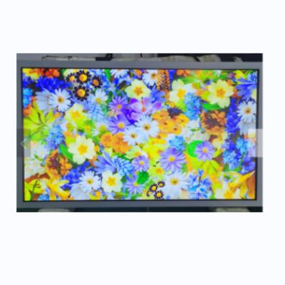 15.6-inch Sunlight Readable FHD TFT LCD Panel (1920x1080)