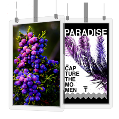 49 Inch High brightness window facing display, RisingStar 49XS2E