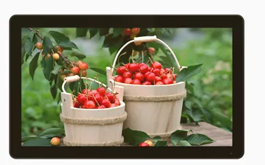 32 inch open frame high tni sunlight readable tft lcd