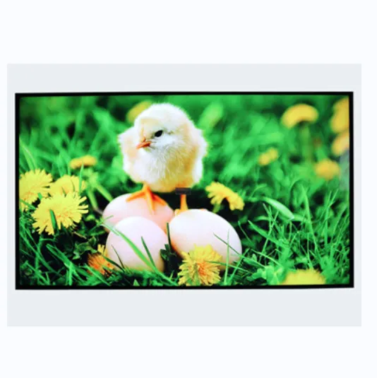 55 inch 4000 nits high brightness tft lcd display