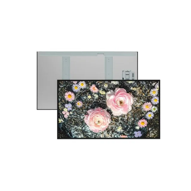 RS420HJ2-NE10 42" 1000 Nits Sunlight Readable Panel