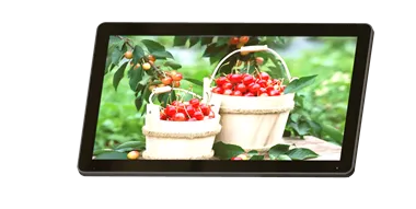 32 inch high tni open frame sunlight readable tft lcd