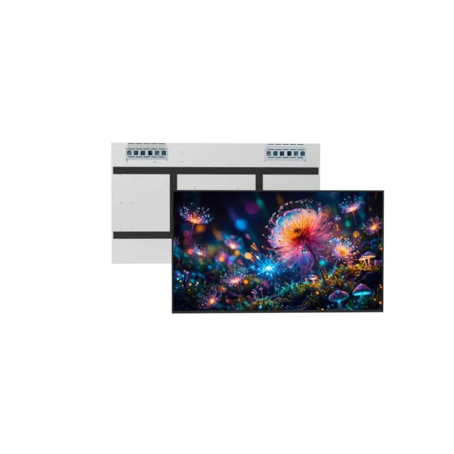 RS650EGY-GD20 65" 2000 Nits High Brightness Panel