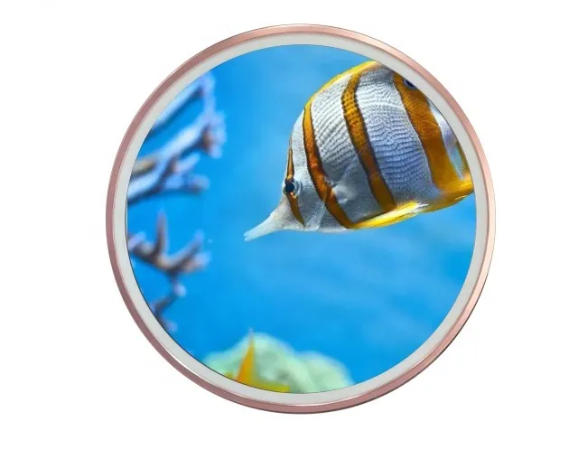 23.6inch round lcd display monitor