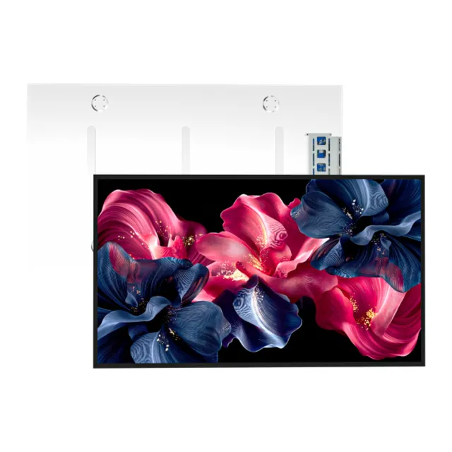 RS460HVN-GD20 46" 2000 Nits High Brightness Panel